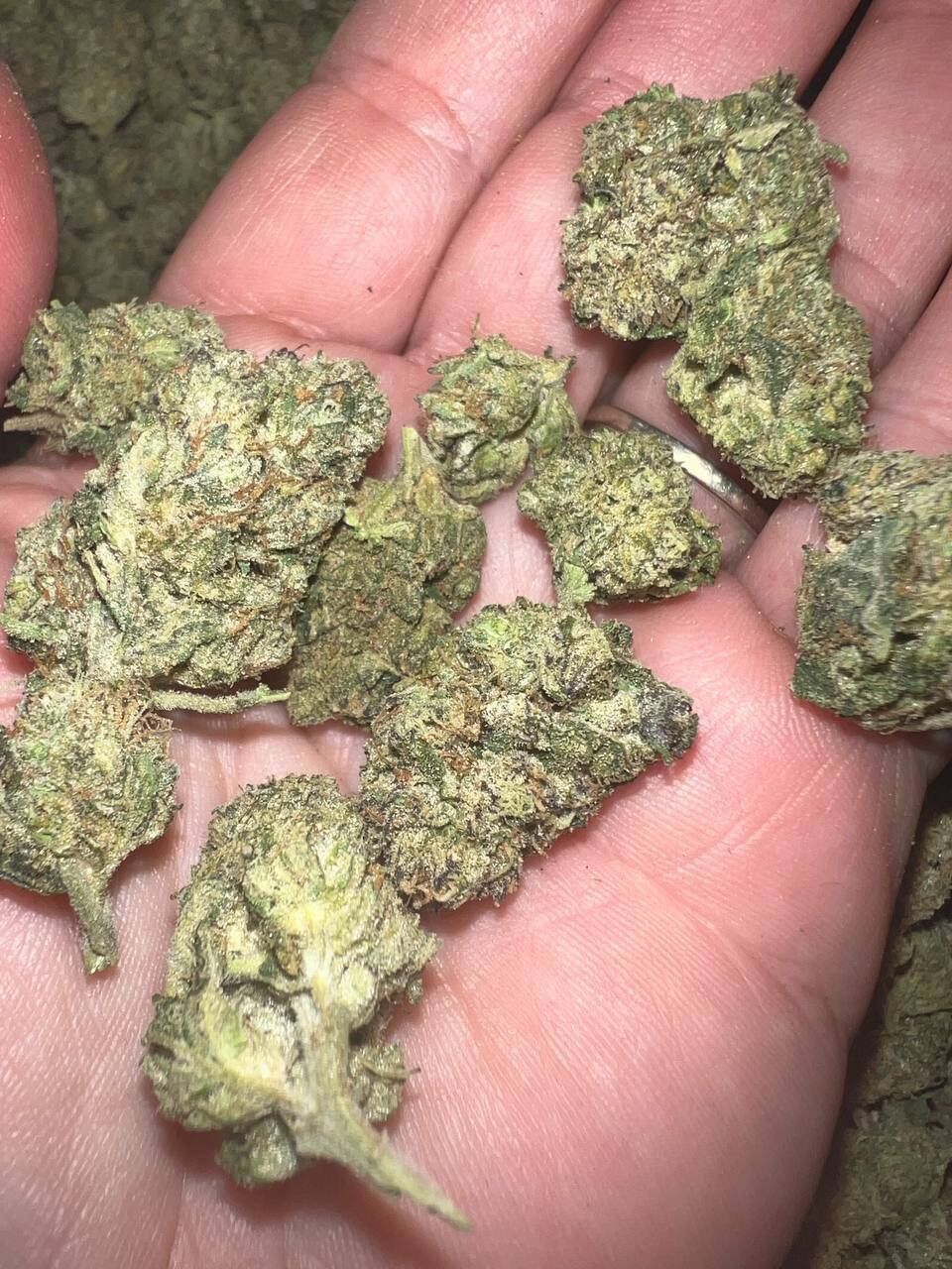 Sandia Gelato THCA 2 Sandia Gelato THCA
