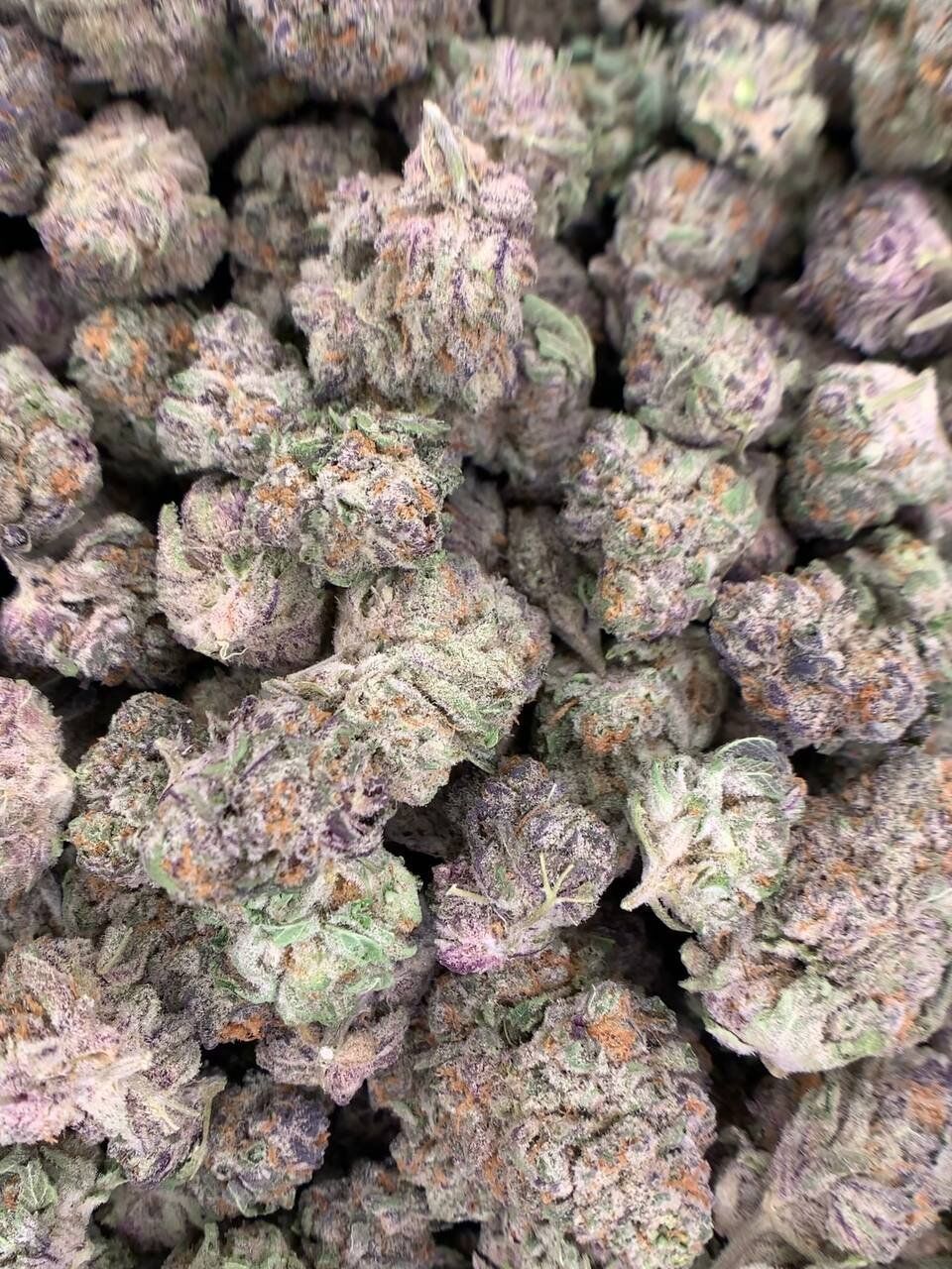 Purple Punch Exotic THCa Flower 2 Purple Punch THCa Flower - 28.2% THCa,