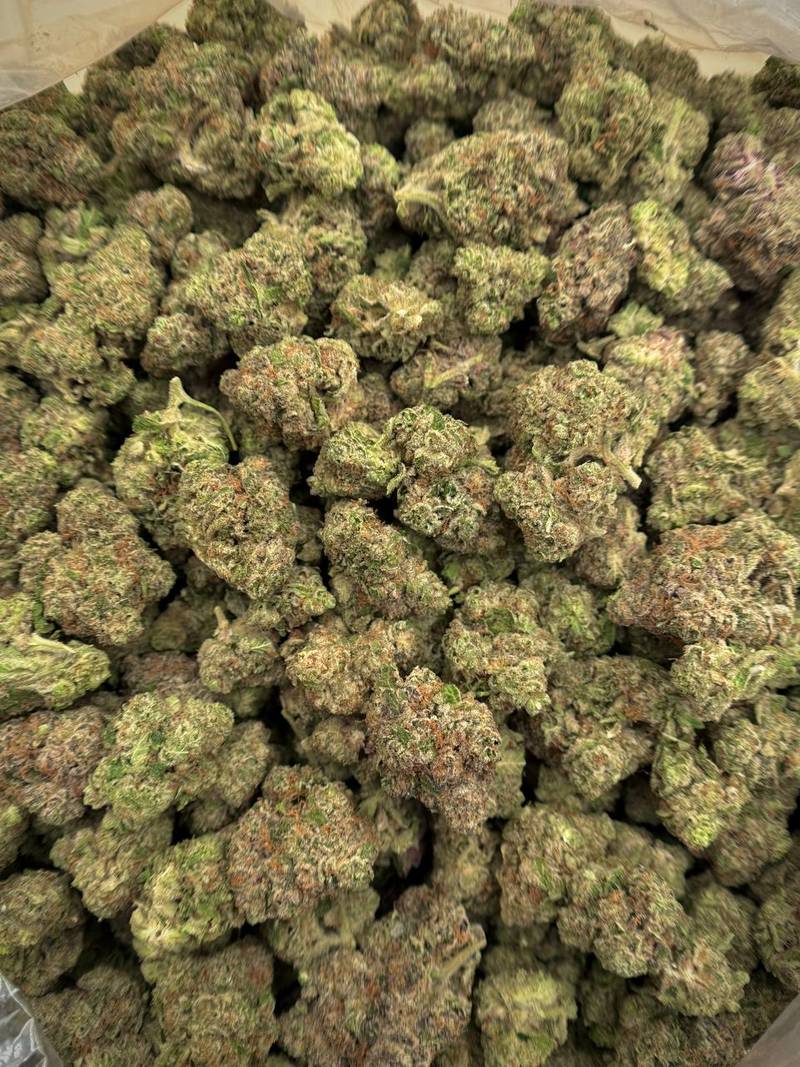 Girl Crush THCA Flower 2 Girl Crush THCA Flower premium bulk flower for wholesale