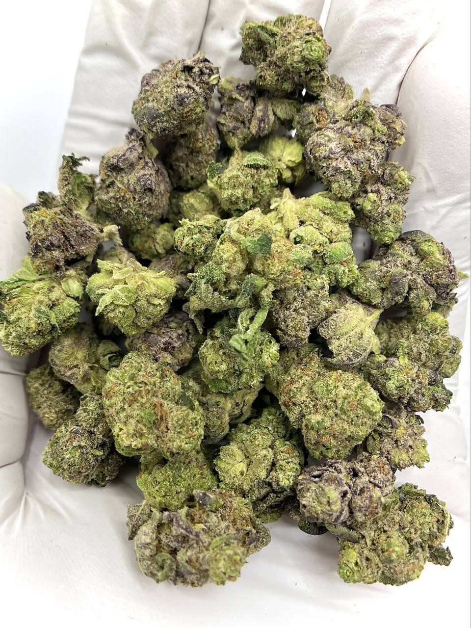 Animal Funk THCA Flower 1 Animal Funk THCA Flower