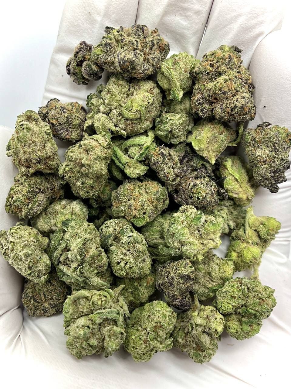 Baby Jokerz THCA Flower 1 Baby Jokerz THCA Flower