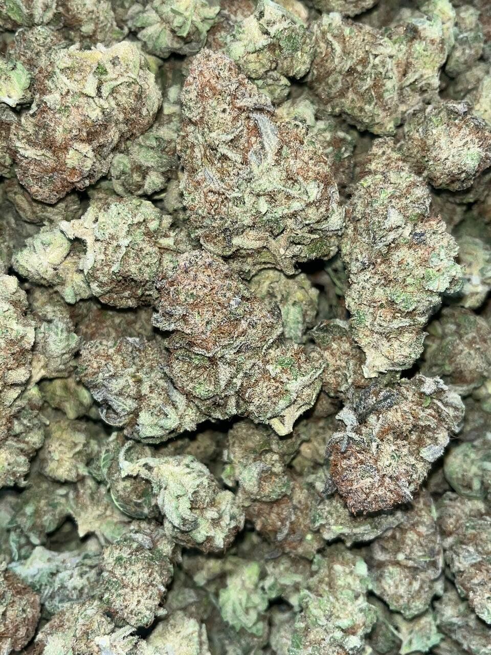 Blueberry Muffins THCa 2 Blueberry Muffins THCa - Image 2