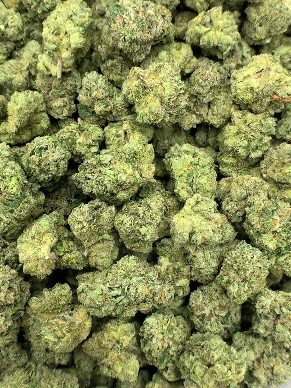 Candy Glue THCa Flower 2 Candy Glue THCa Flower - Image 2