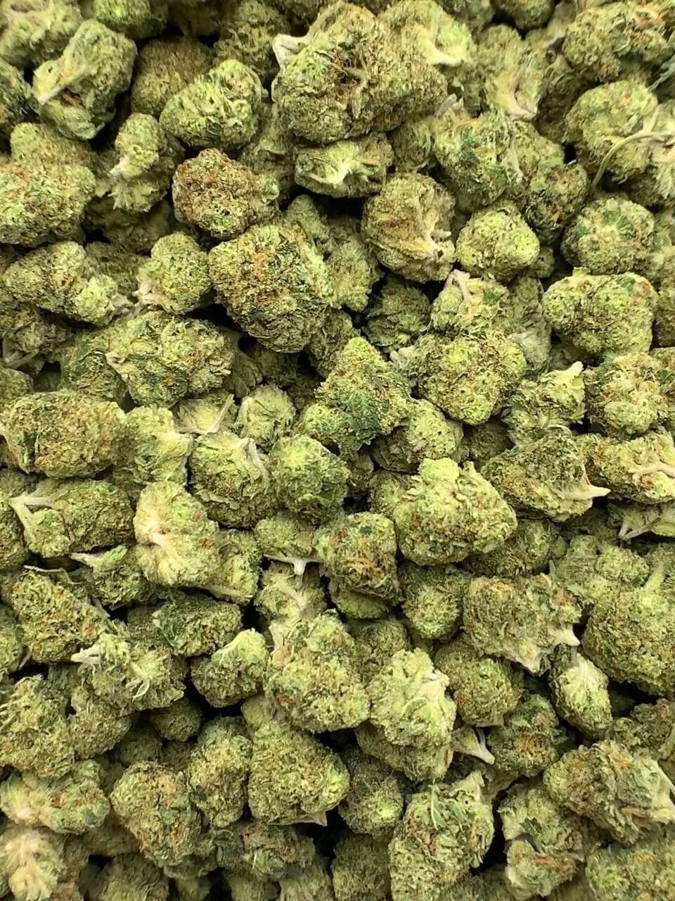 Larry OG THCa Flower 2 Larry OG THCa Flower - Image 2