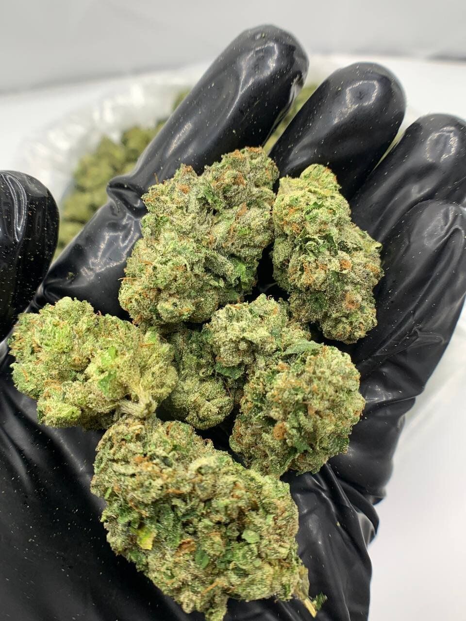 Candy Glue THCa Flower 3 Candy Glue THCa Flower - Image 3