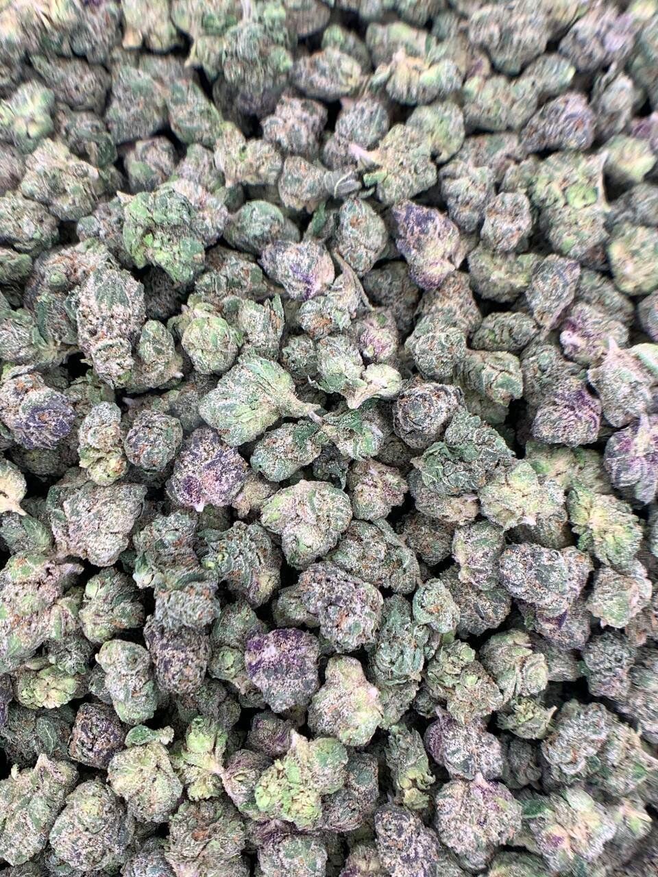 Codeine Cupz THCa Flower 2 Codeine Cupz THCa Flower - Image 2