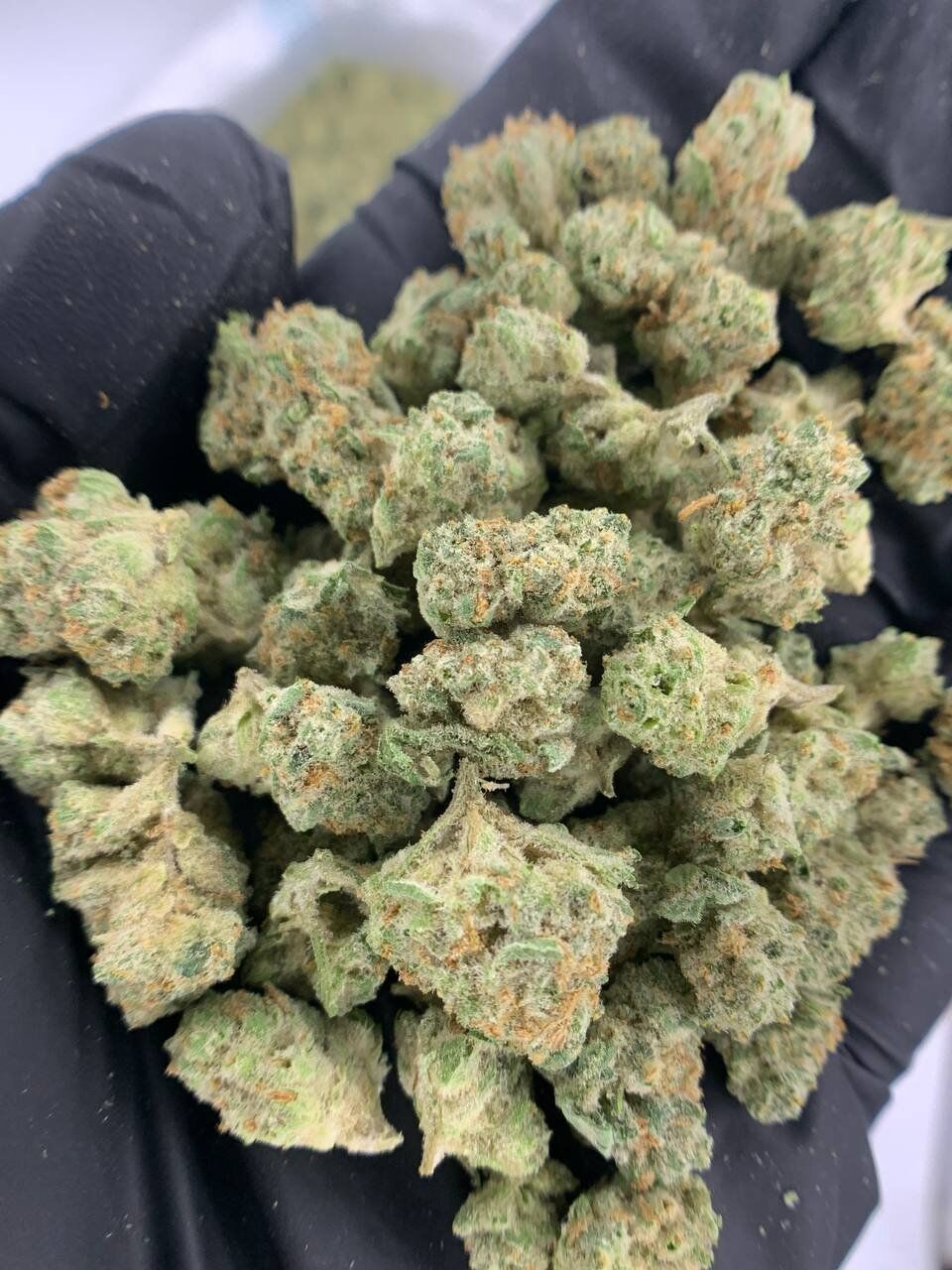Fiji Mintz THCa Flower 1 Fiji Mintz THCa Flower