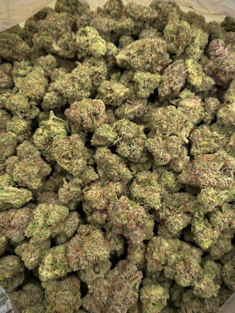Girl Crush THCA Flower 1 Girl Crush THCA Flower