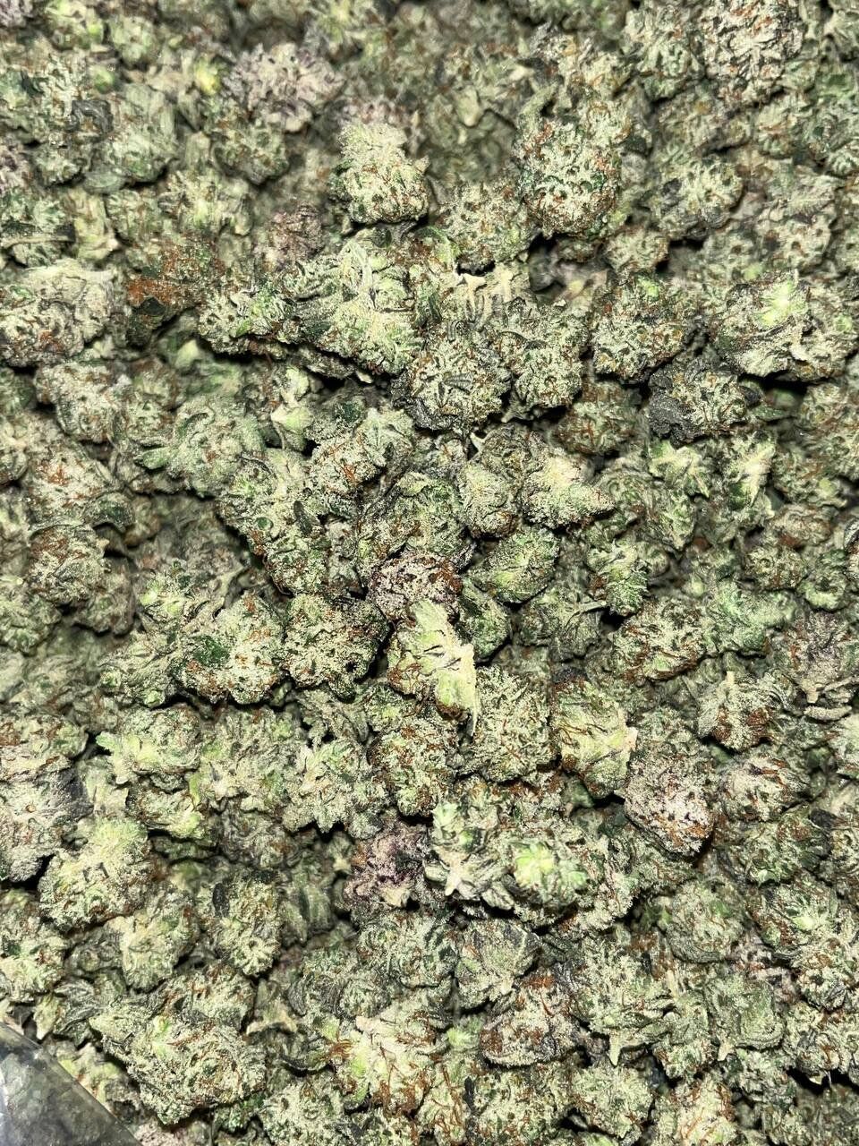 Oreoz smalls THCA Exotics 2 Oreoz smalls THCA Exotics - Image 2