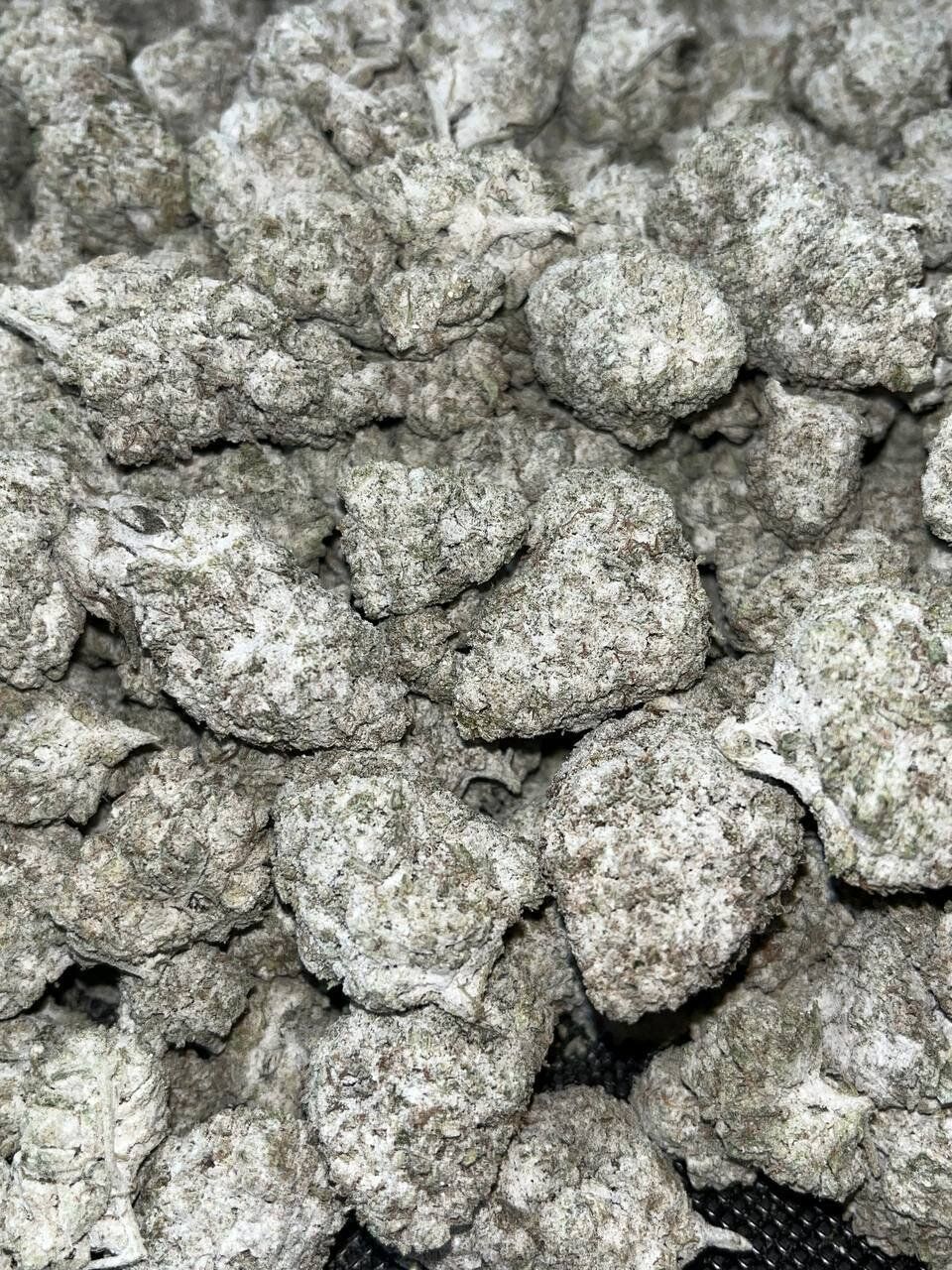Snowcap Bigs THCA 2 Snowcap Bigs THCA - Image 2