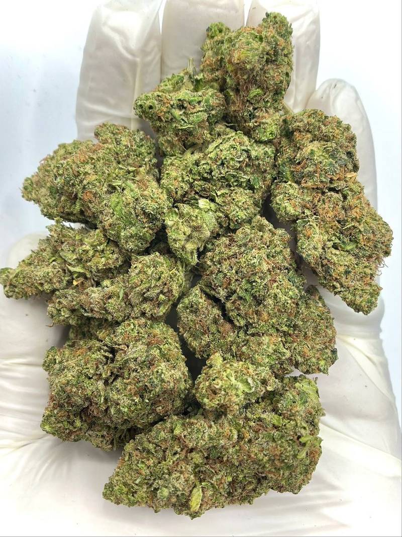 Tropicana Kush THCA Flower 1 Tropicana Kush THCA Flower